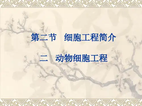 公开课《动物细胞工程》
