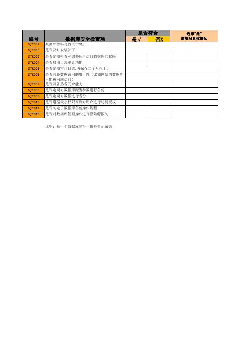 9应用系统安全检查记录表