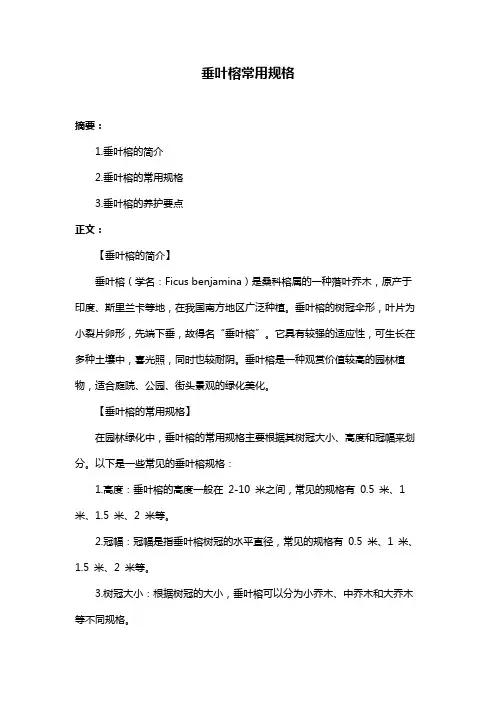 垂叶榕常用规格