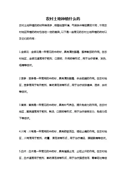 农村土地种植什么药