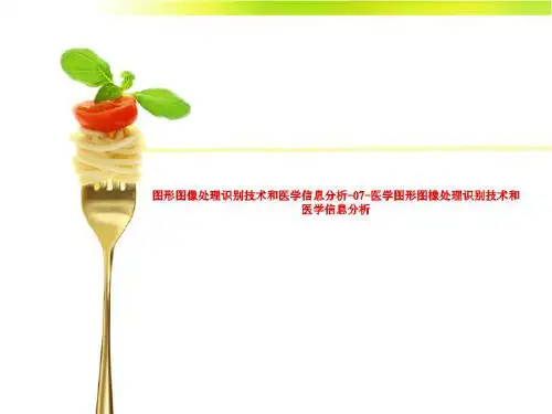 图形图像处理识别技术和医学信息分析-07-医学图形图橡处理识别技术和医学信息分析