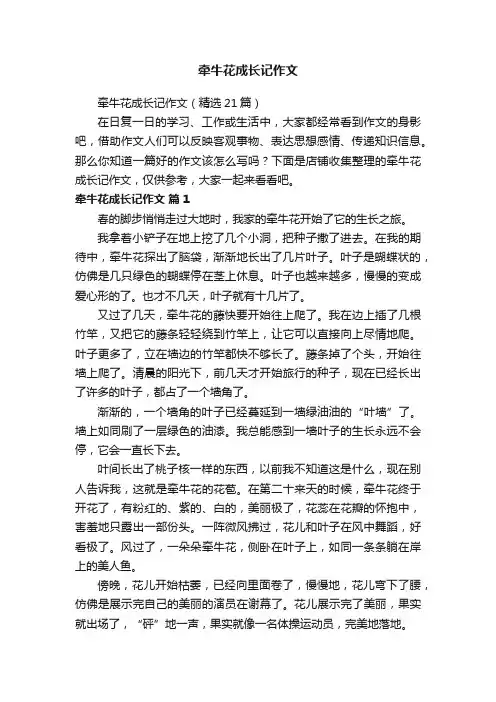牵牛花成长记作文