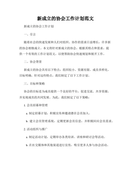 新成立的协会工作计划范文