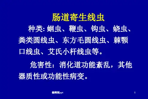 肠道寄生线虫 ppt课件