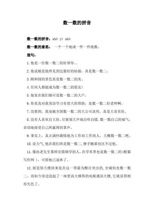 数一数的拼音