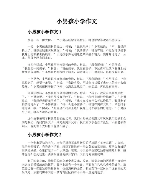 小男孩小学作文