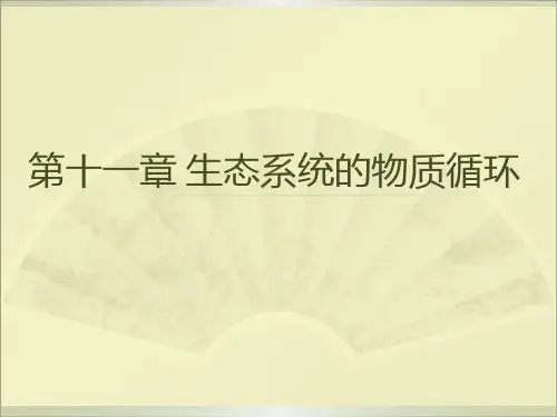 第十一章 生态系统的物质循环