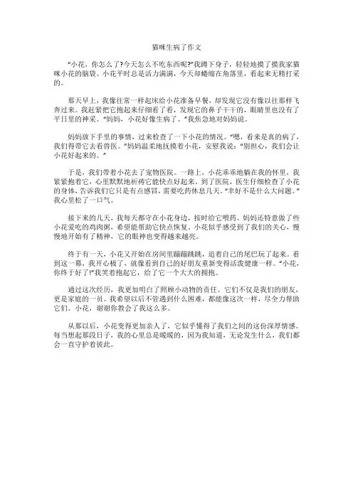 猫咪生病了作文