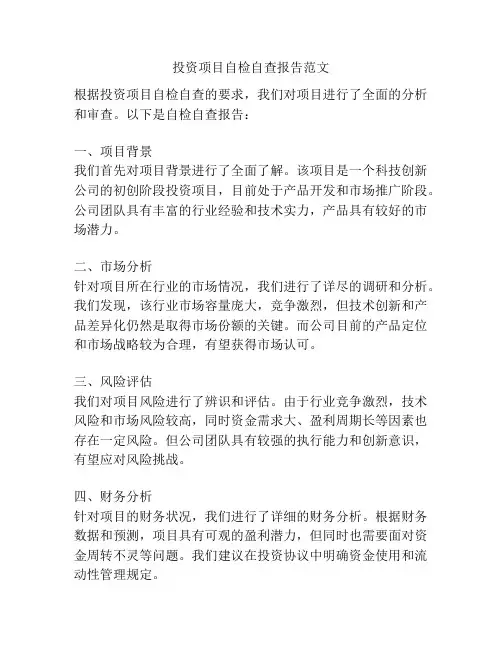 投资项目自检自查报告范文