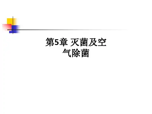 第5章 灭菌及空气除菌ppt课件