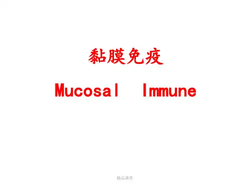 黏膜免疫 研究生