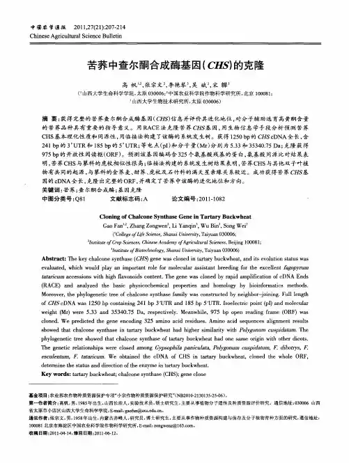 苦荞中查尔酮合成酶基因(CHS)的克隆