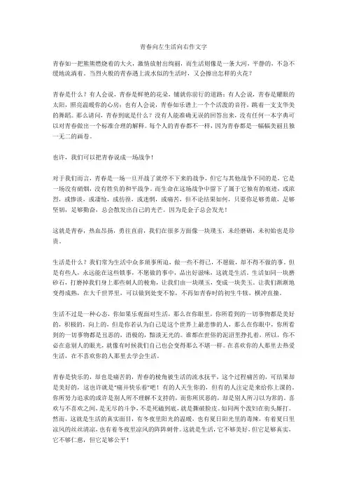 青春相伴的美好作文1000字