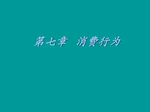 经济社会学第七章消费行为ppt课件