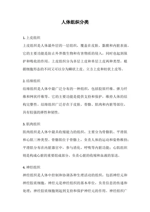 人体组织分类
