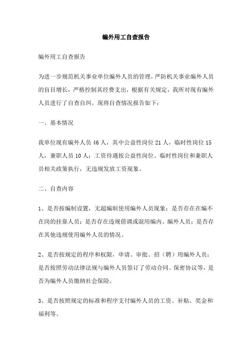 编外用工自查报告