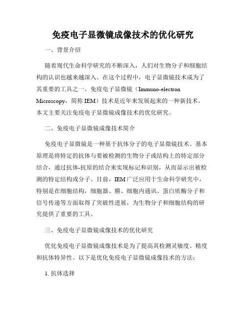 免疫电子显微镜成像技术的优化研究