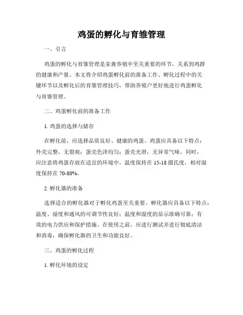 鸡蛋的孵化与育雏管理