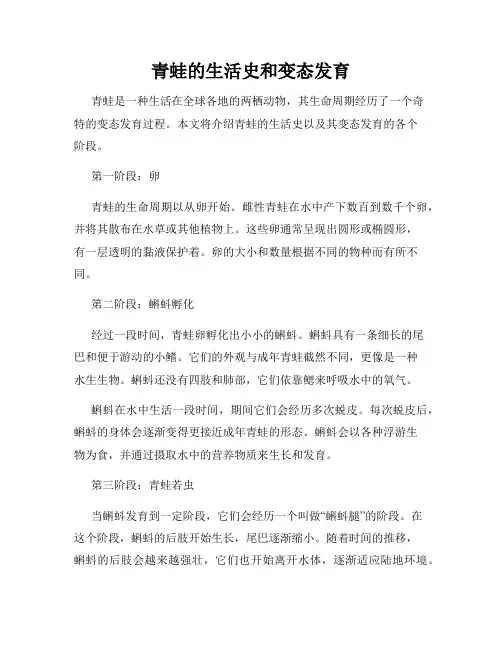 青蛙的生活史和变态发育