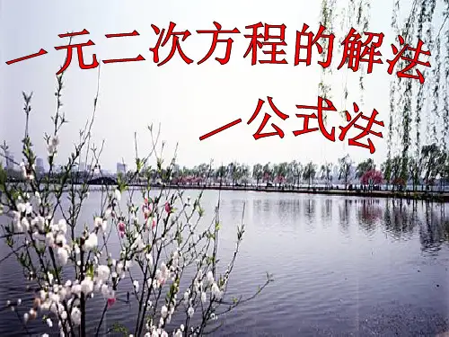 公式法 课件