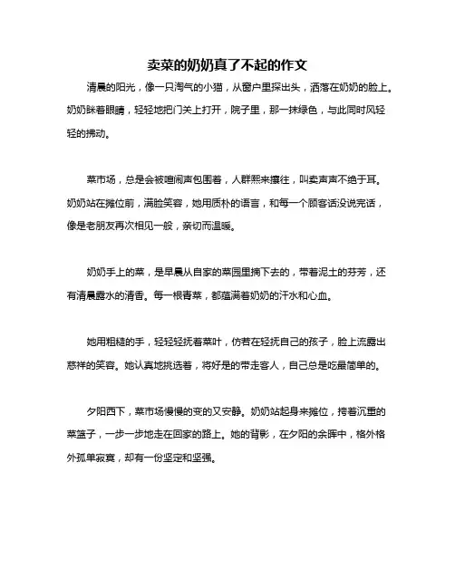 卖菜的奶奶真了不起的作文