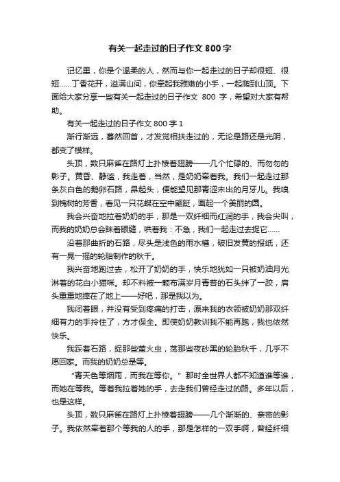 有关一起走过的日子作文800字