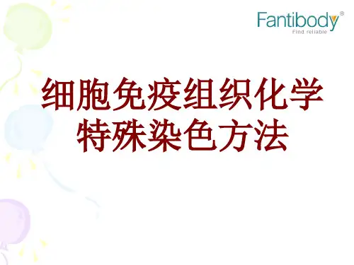 研究生课程细胞免疫组织化学特殊染色方法及ppt图片演示