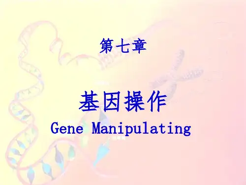 【学习课件】第7章_第4节_分子杂交和印迹技术(3_LMJ)'
