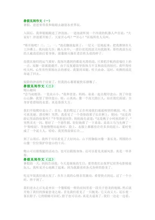 暑假见闻作文：小学生写《暑假见闻》的作文范文精选5篇