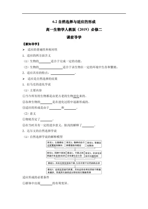 6-2自然选择与适应的形成 高一生物学人教版(2019)必修二课前导学