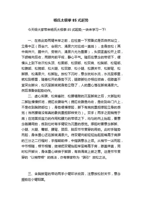 杨氏太极拳85式起势