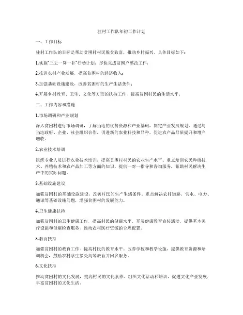 驻村工作队年初工作计划