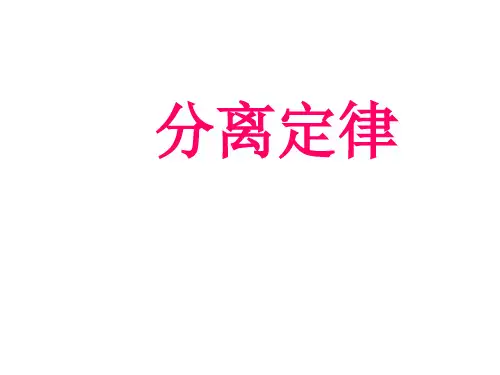 分离定律1