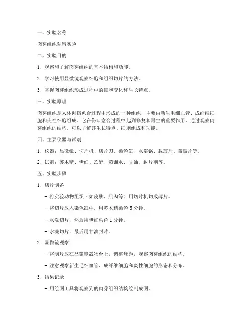 医学肉芽组织实验报告