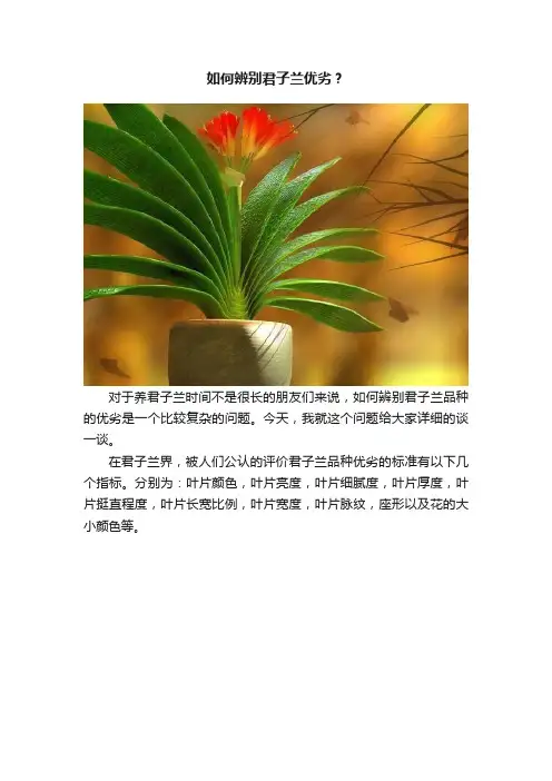 如何辨别君子兰优劣？