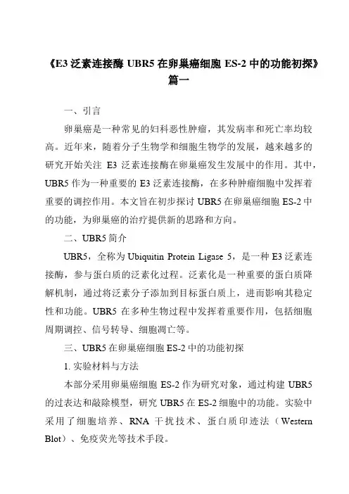 《E3泛素连接酶UBR5在卵巢癌细胞ES-2中的功能初探》范文