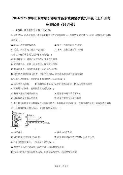 2024-2025学年山东省临沂市临沭县东城实验学校九年级(上)月考物理试卷(10月份)(含答案)