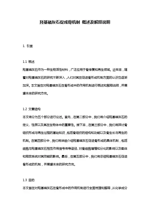 羟基磷灰石促成骨机制_概述及解释说明
