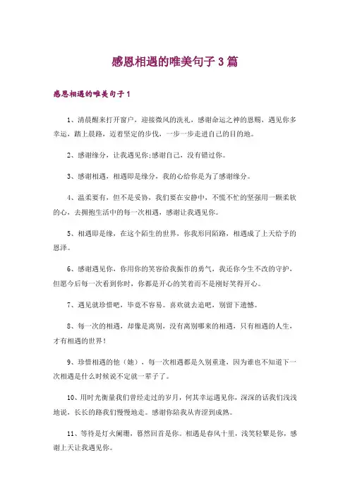 感恩相遇的唯美句子3篇