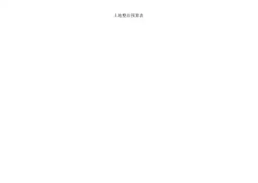 土地整治预算表