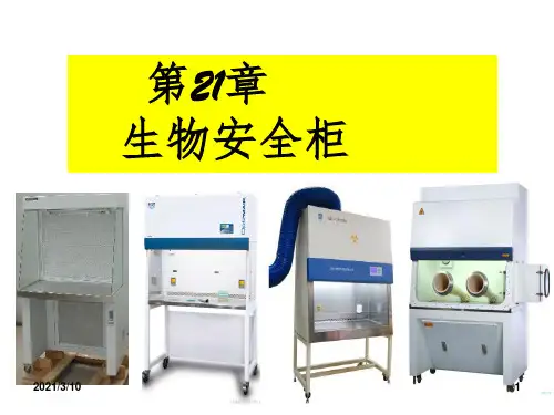 生物安全柜原理课件PPT
