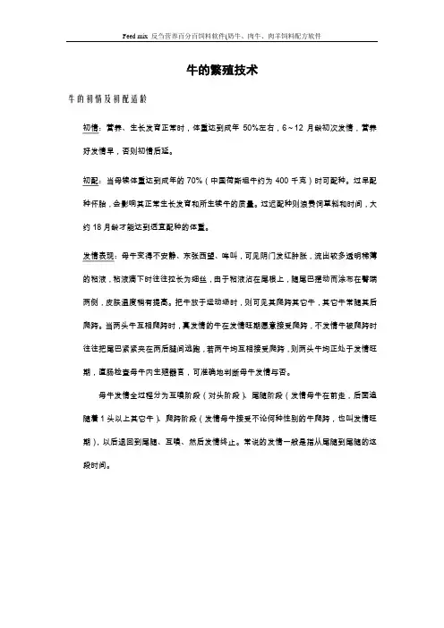 奶牛的繁育