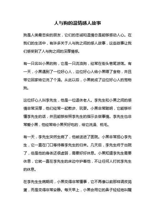人与狗的温情感人故事