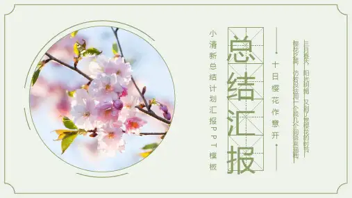 小清新总结计划汇报PPT模板
