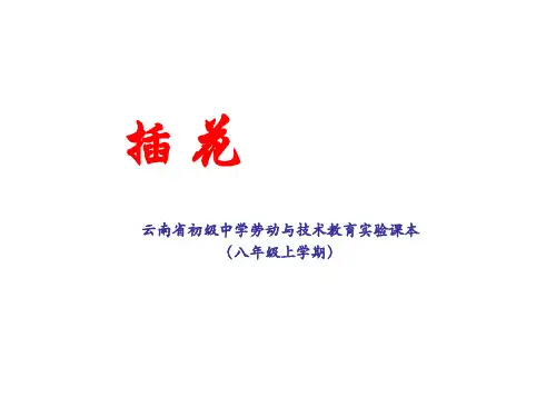 第五课插花课件(共40张PPT)云南省初中劳动与技术八年级上册