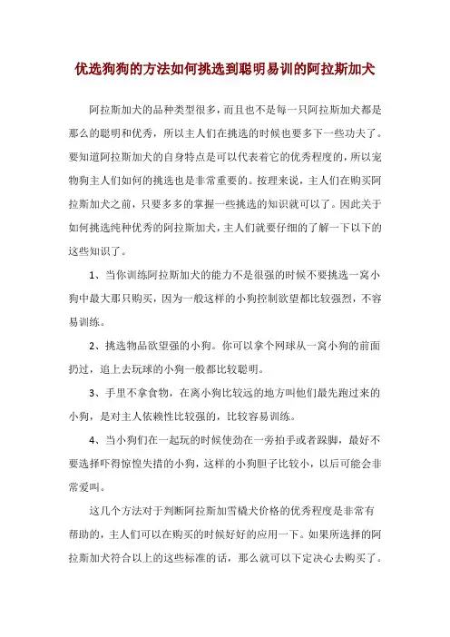 优选狗狗的方法 如何挑选到聪明易训的阿拉斯加犬