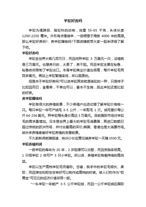 羊驼好养吗