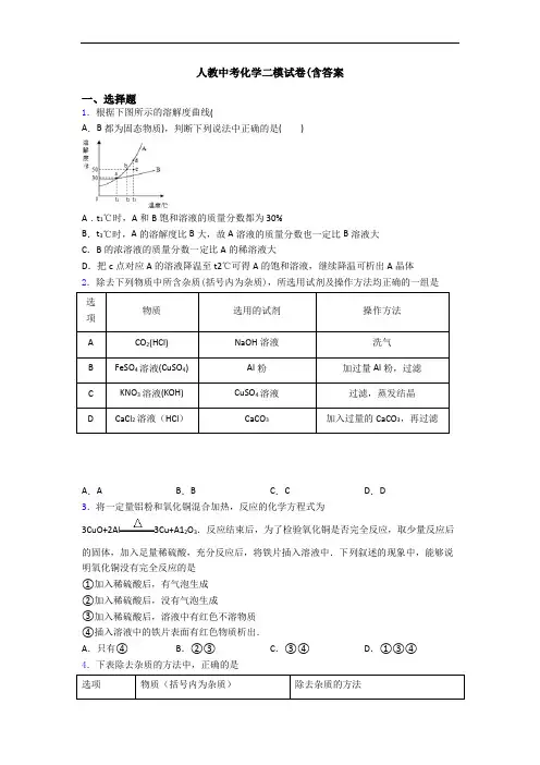 人教中考化学二模试卷(含答案