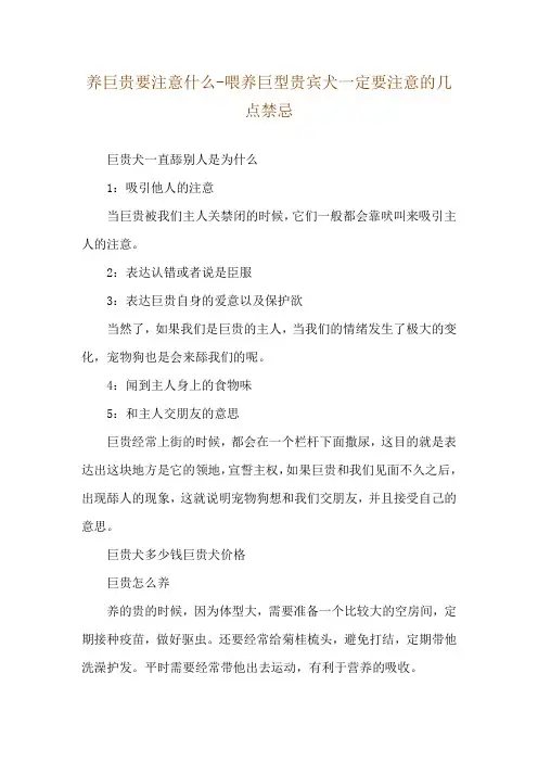 养巨贵要注意什么-喂养巨型贵宾犬一定要注意的几点禁忌