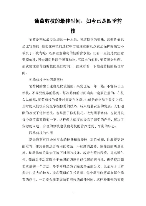 葡萄剪枝的最佳时间,如今已是四季剪枝